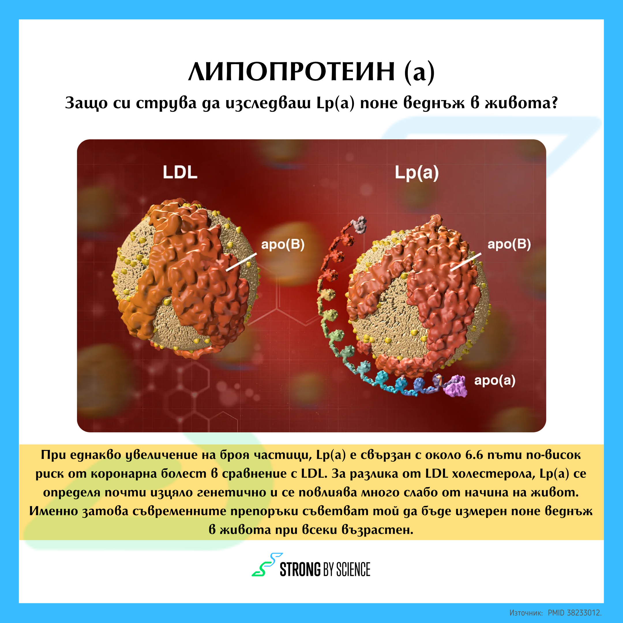 Защо си струва да изследваш Lp(a) поне веднъж в живота? Защо си струва да изследваш Lp(a) поне веднъж в живота?